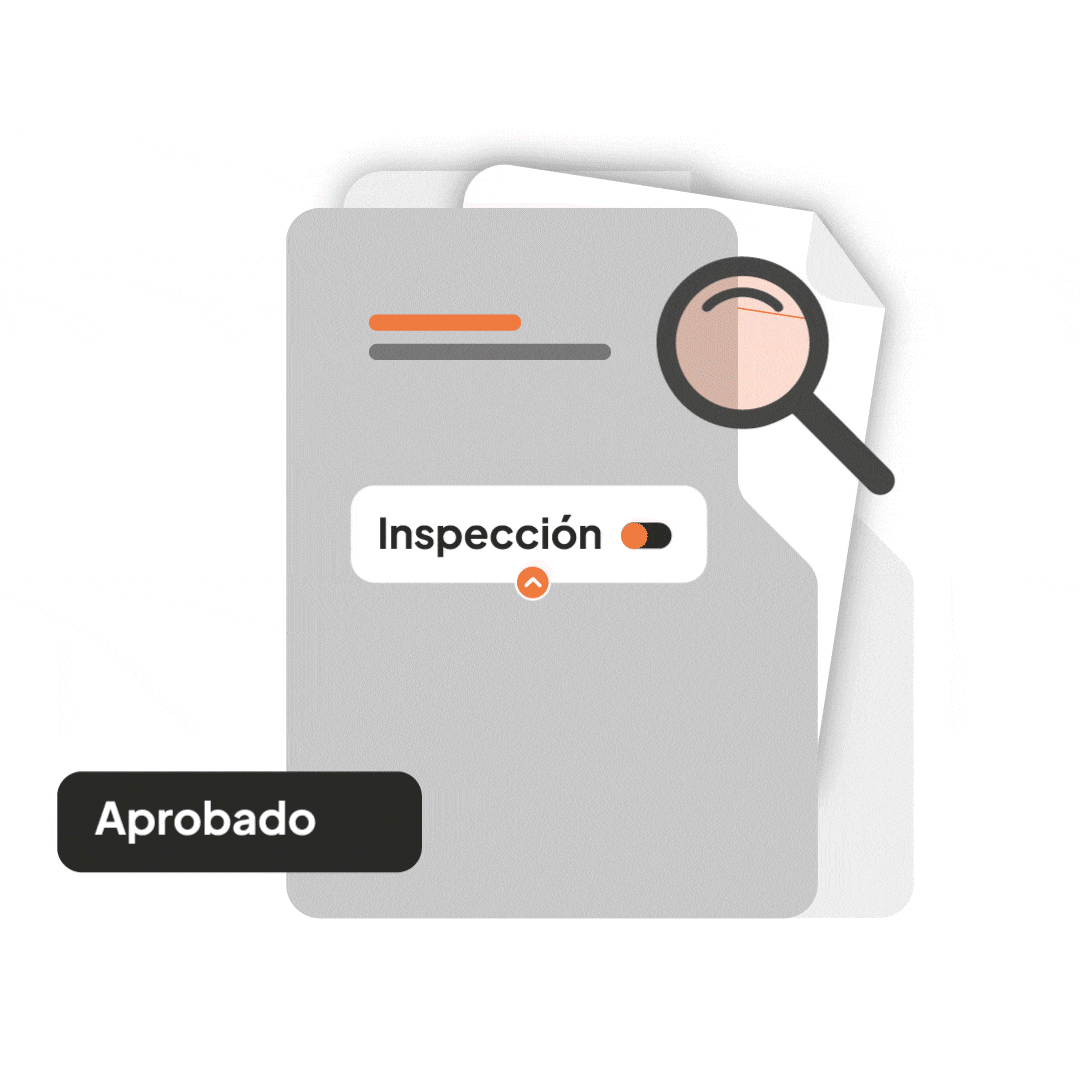 GIF_Inspección_1 copia